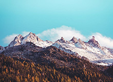 WBG双人种越塔强杀JiaQi拿到一血